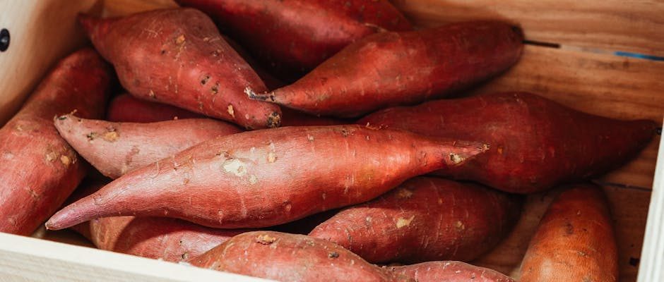 patate douce légume ou féculent